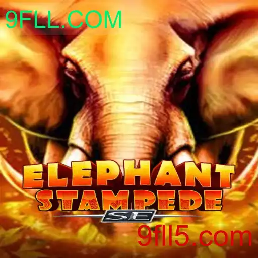 Descubra o Mundo de Adrenalina em ElephantStampedeSE
